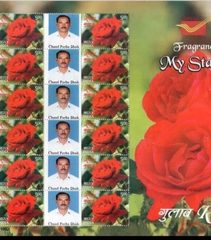 571188253_1272017304960221_6767904651107094125_n